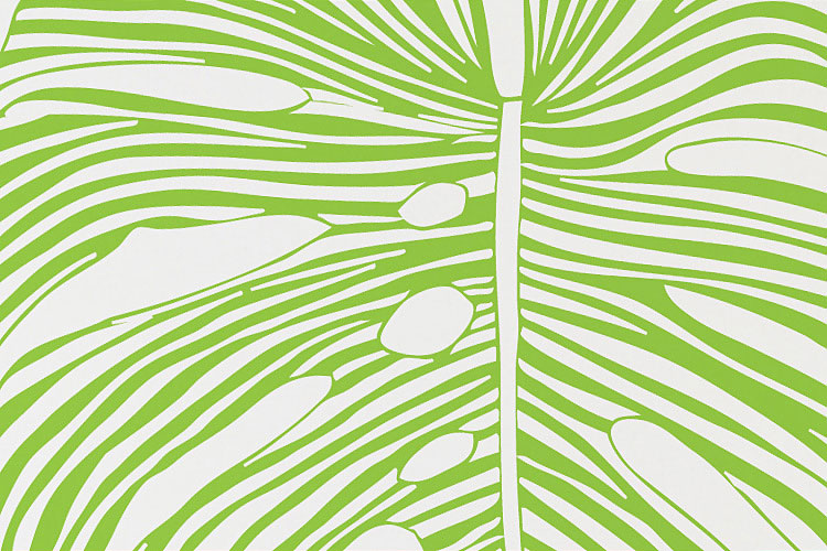 몬스테라 큰잎-20 그래픽스티커 포인트 시트지